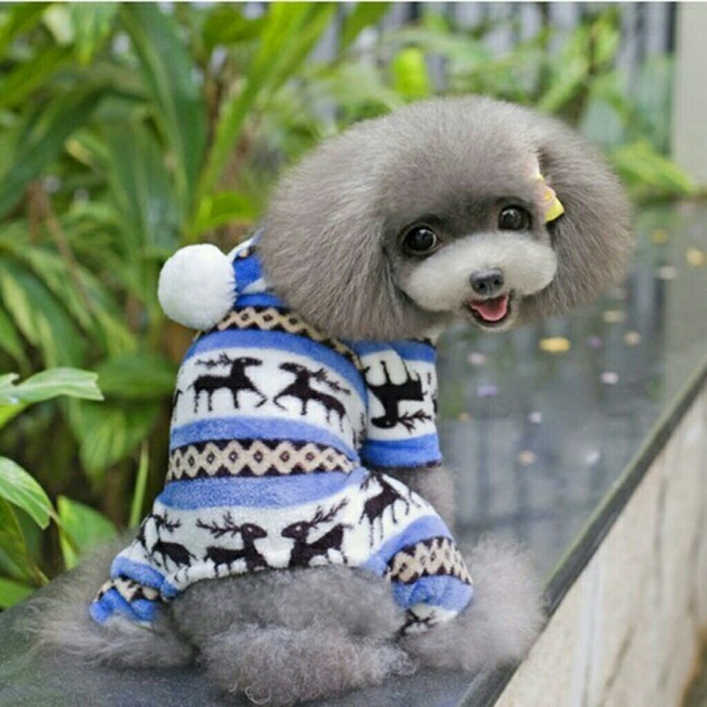 Dog jumpsuit with hood