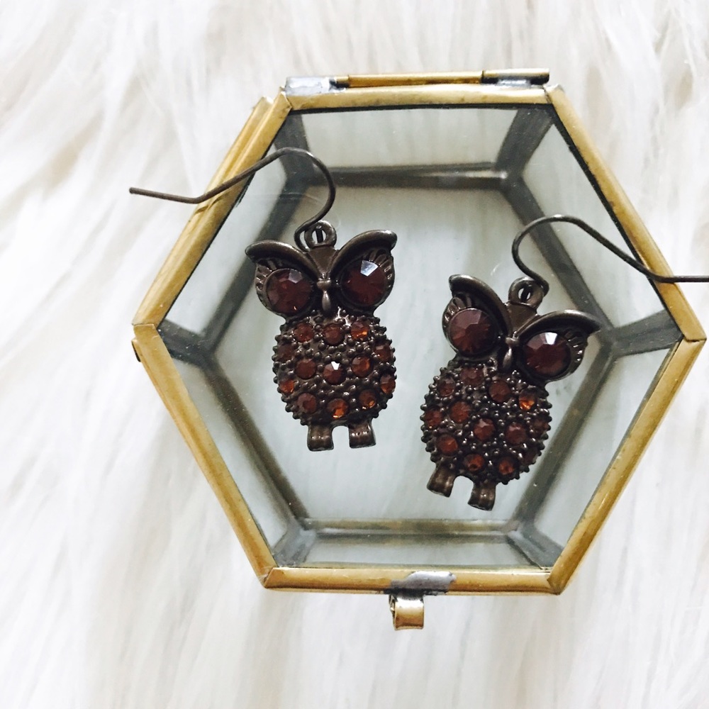 BRAND NEW • Bronze Owl Earrings