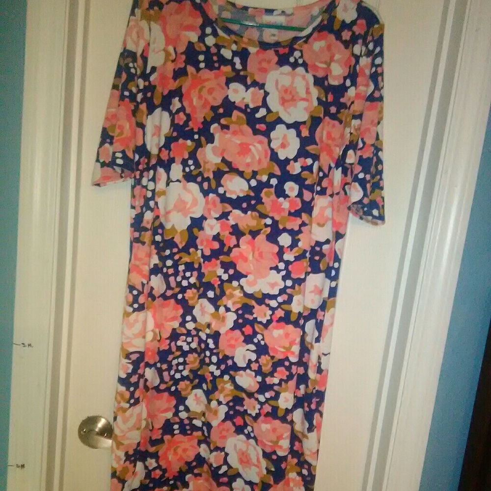 Lularoe Julia Dress