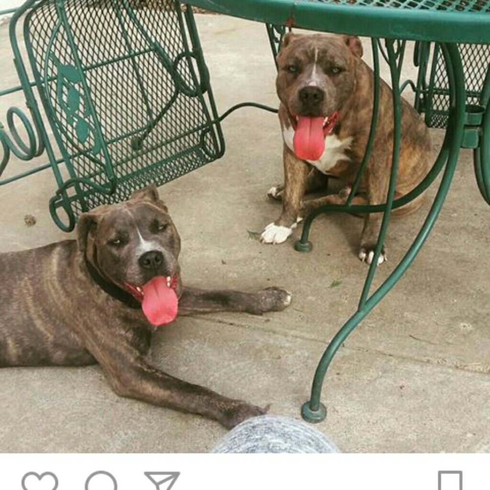 Meet your Posher, Terry