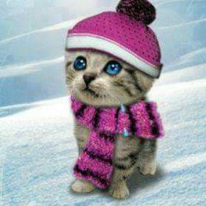 Meet your Posher, Sonia