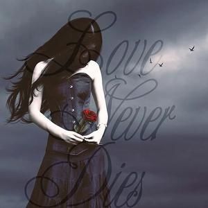 Meet your Posher, Gabby