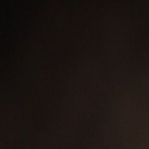 Meet your Posher, Savannah