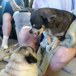 Meet your Posher, Lyn