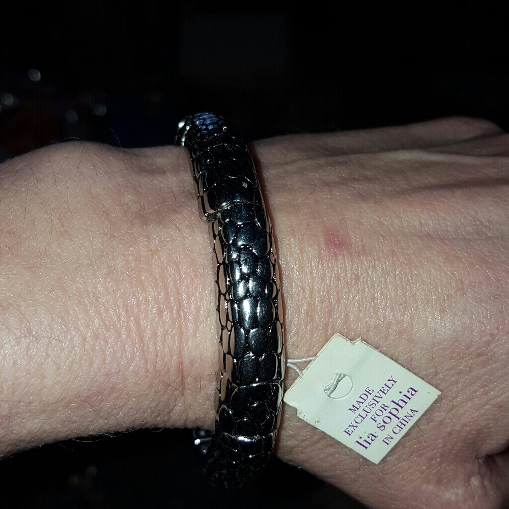 NWT Lia Sophia Silver tone Scaled stretch bracelet