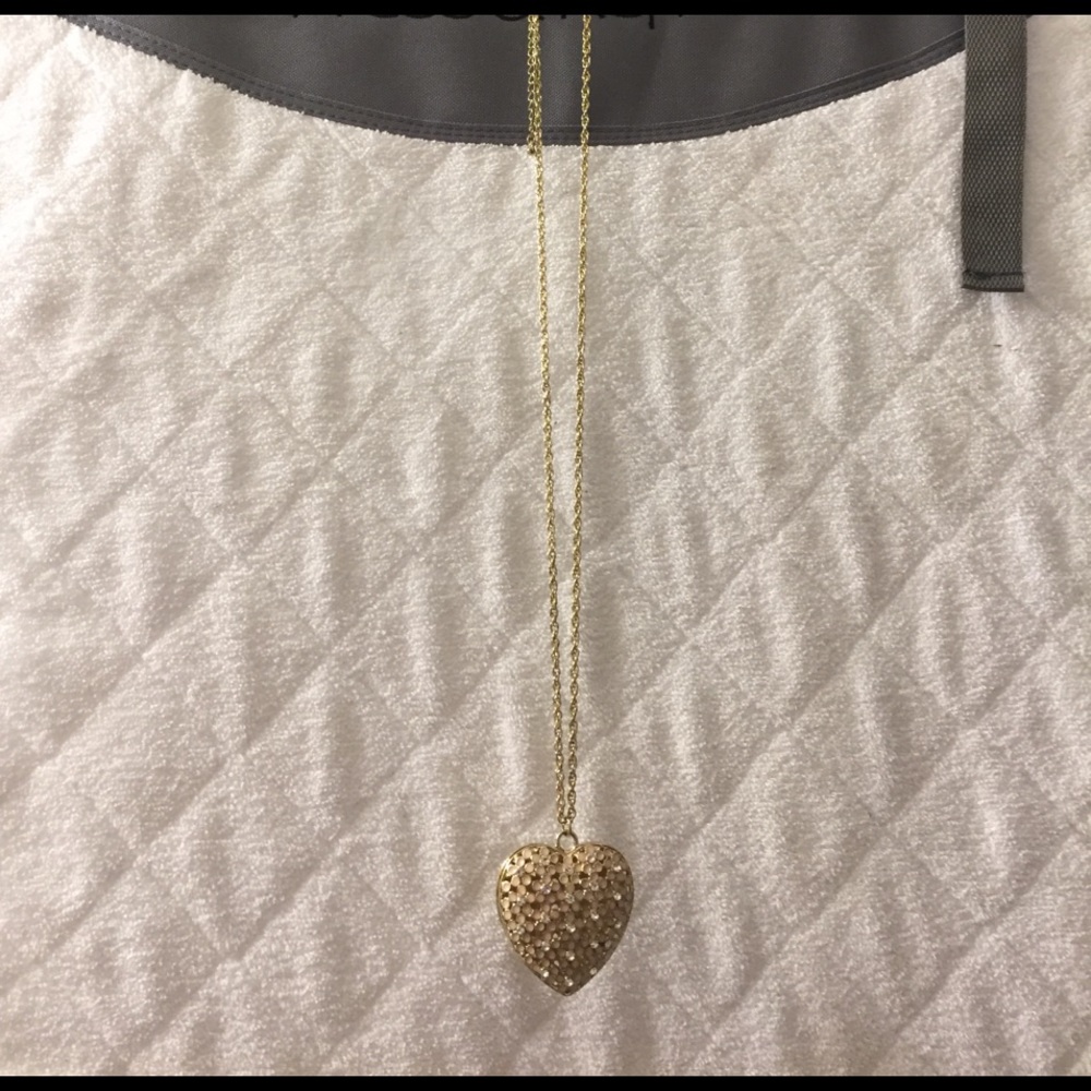 Long chain necklace with heart