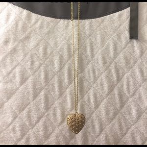 Long chain necklace with heart