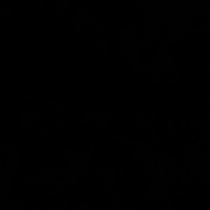 Meet your Posher, Phillip