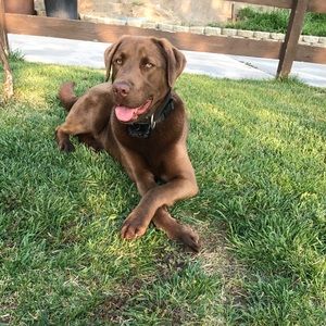 Meet your Posher, Mackenzie