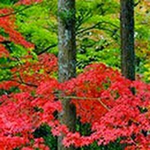 Meet your Posher, Kay laree