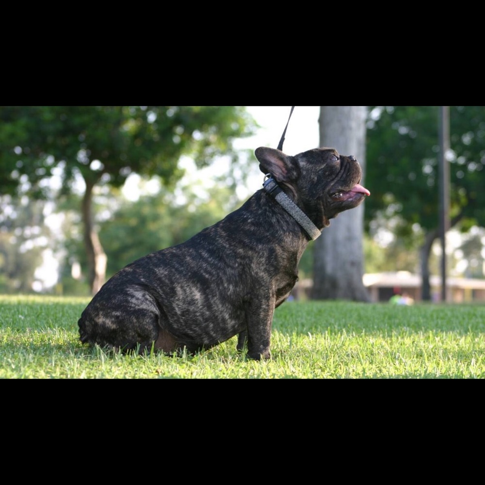 Meet your Posher, Jesse