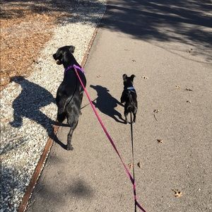 Meet your Posher, Zaika