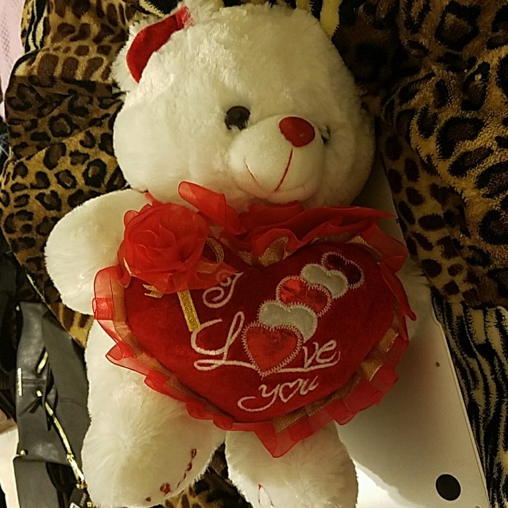 Teddy bear