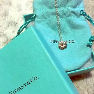 Tiffany & Co. necklace
