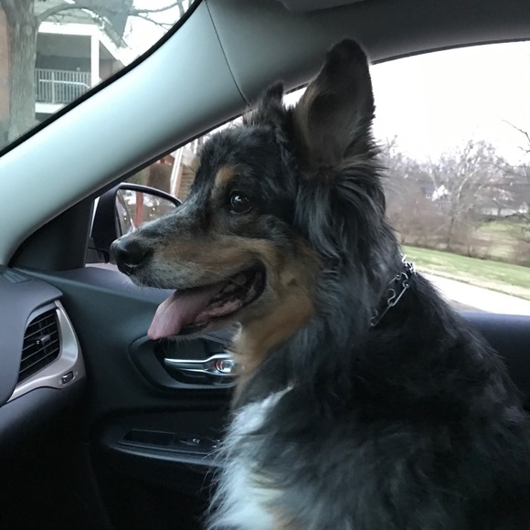 Meet your Posher, Heather - Picture 7 of 8