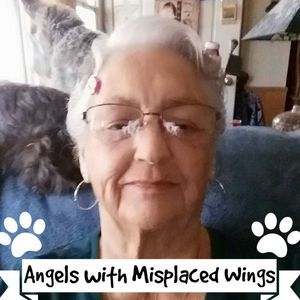 Meet your Posher, Dot