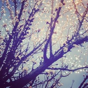 Meet your Posher, Ulysses