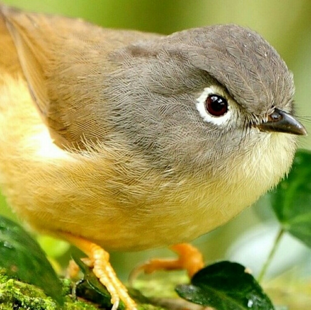 Meet your Posher, Kathleen