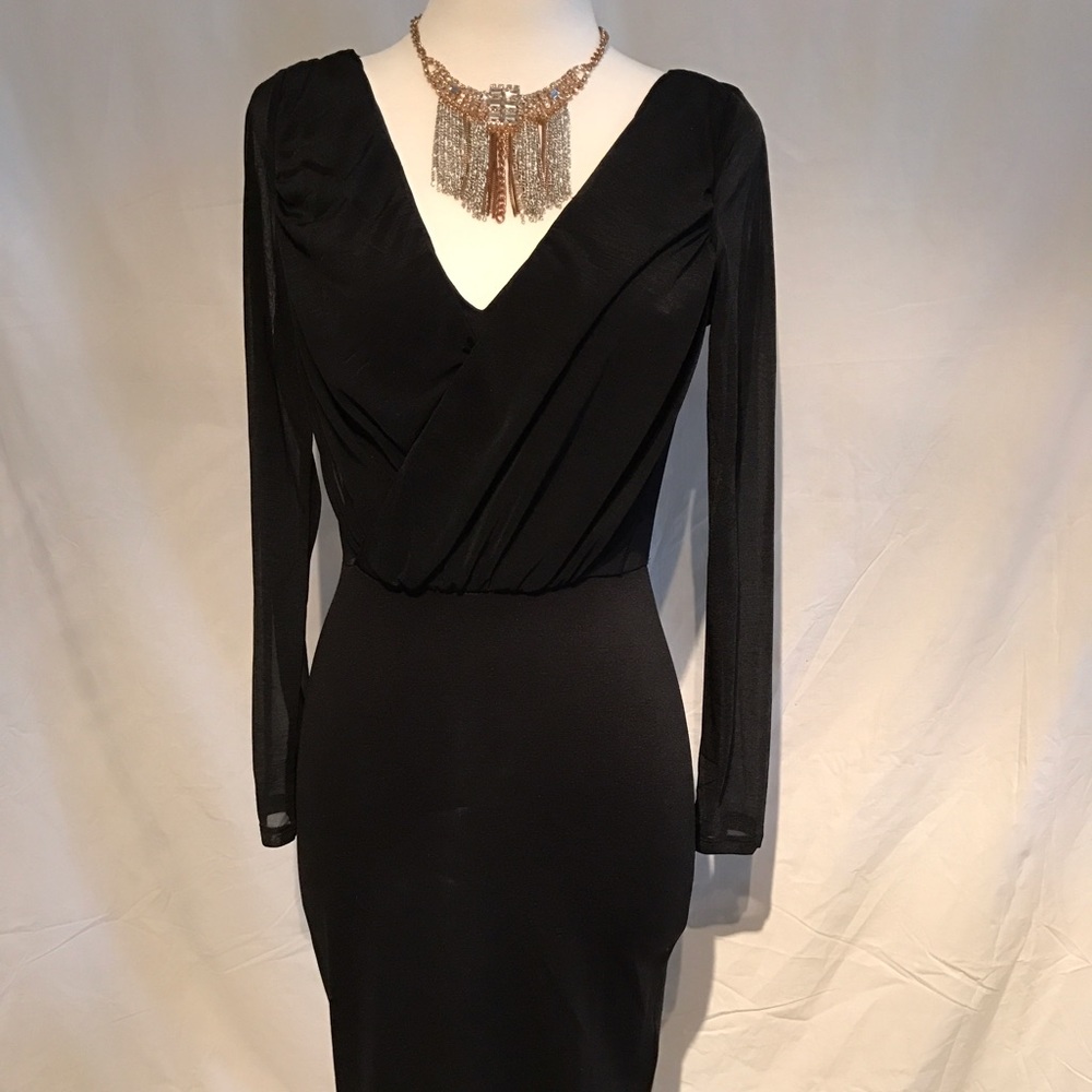 Sheer Long Sleeve Dress