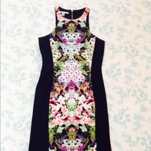 Maggy London Print Sheath Floral Dress