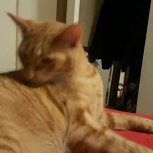 Meet your Posher, Ashly