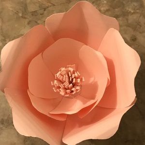 Meet your Posher, Cristian