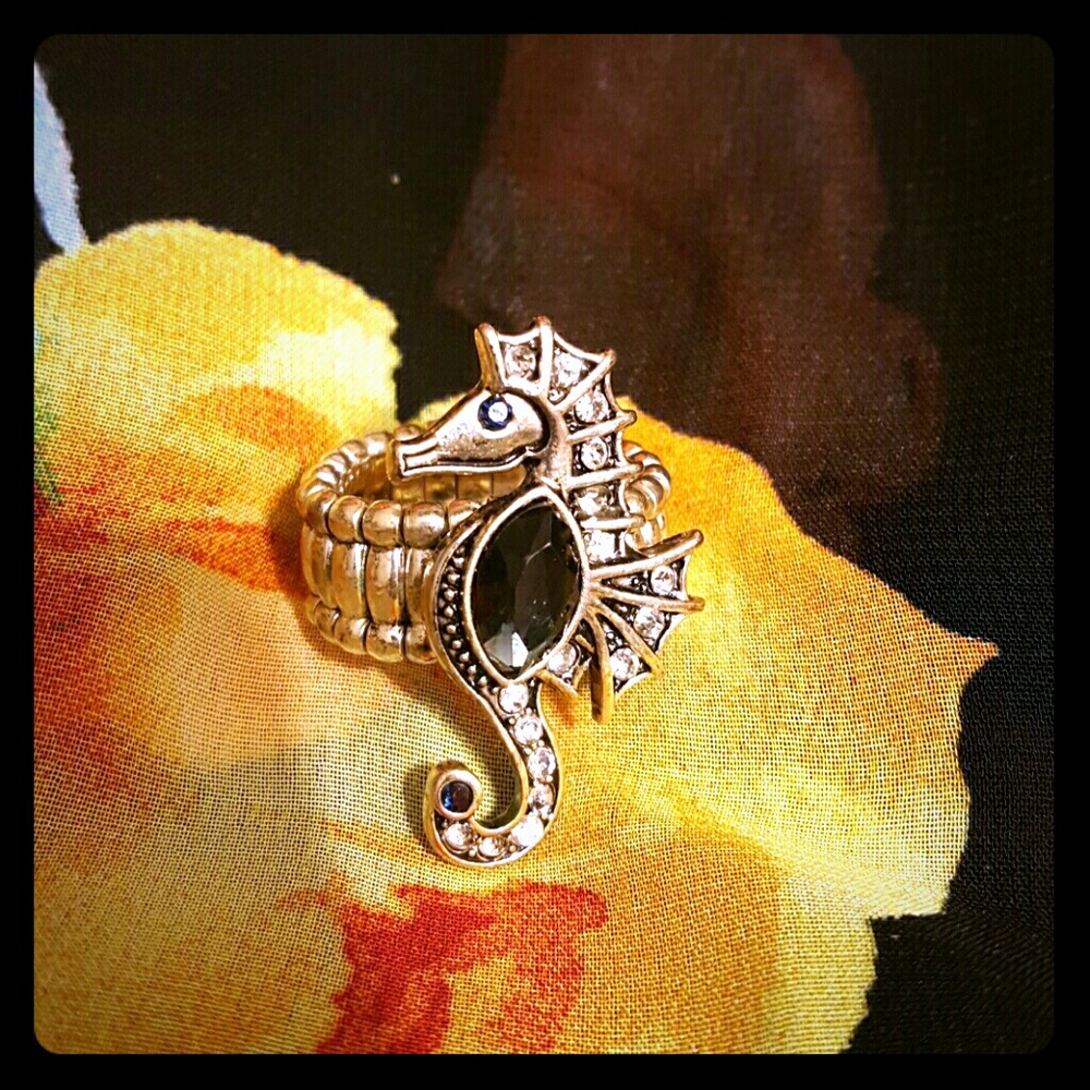 Sean horse ring