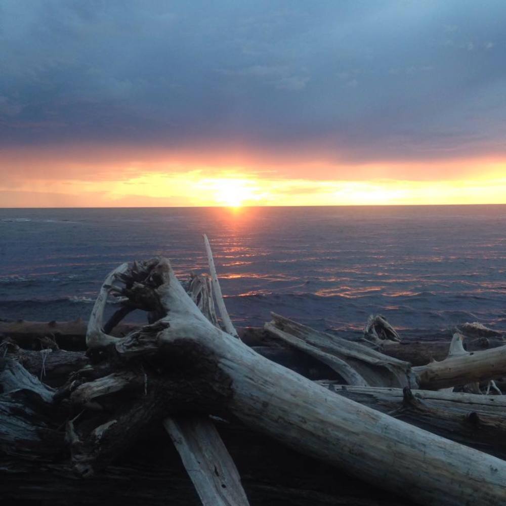 Meet your Posher, Eva