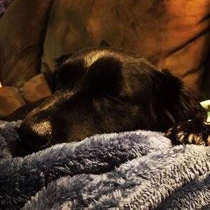 Meet your Posher, Katelyn