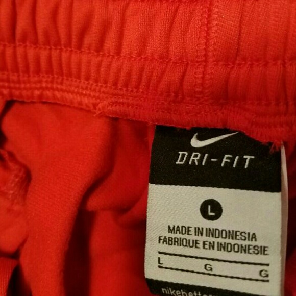 Dri Fit Ohio State Buckeyes Sweats Large Nike - Picture 3 of 4