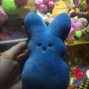 Meet your Posher, Abby