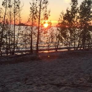 Meet your Posher, Robinson