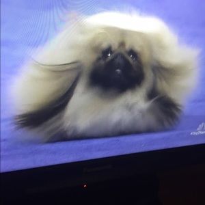 Meet your Posher, Elmay