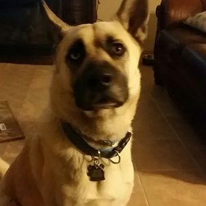 Meet your Posher, Cristina