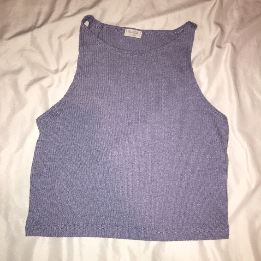Brandy Melville Crop Top