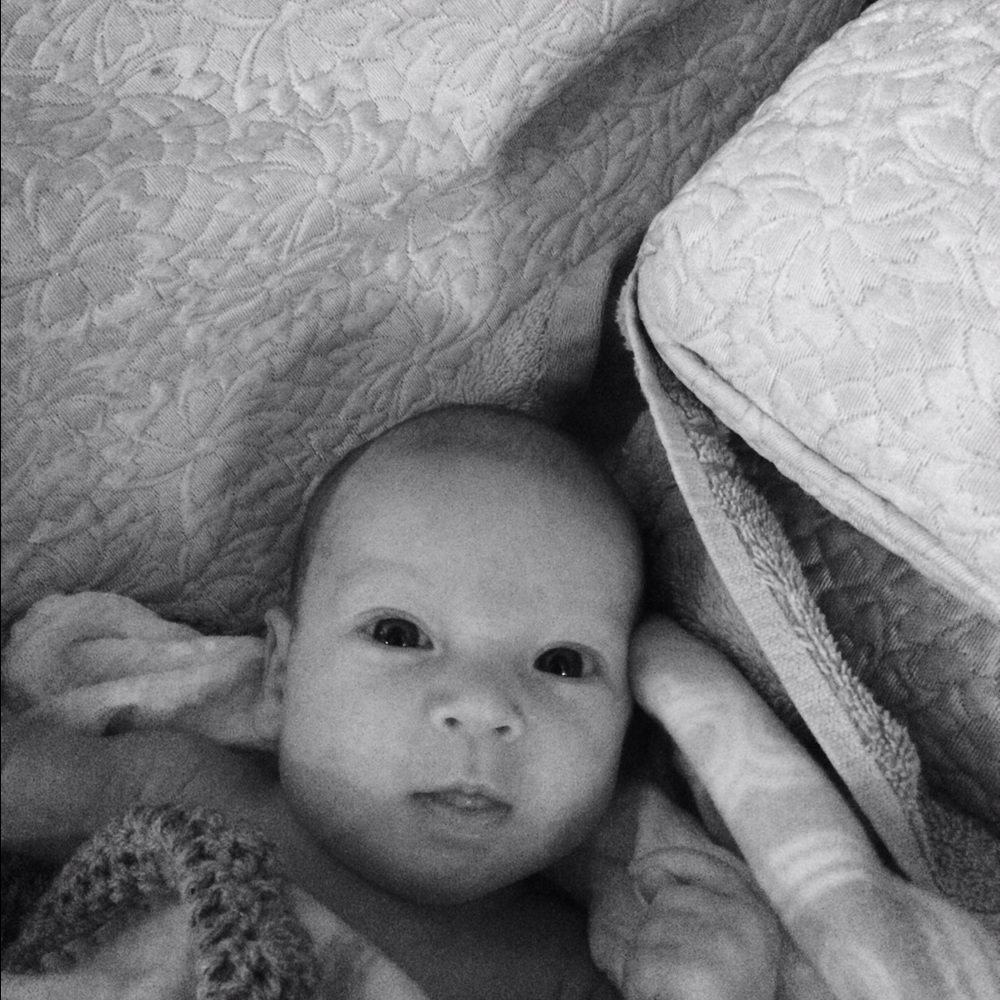 Meet your Posher, Molly