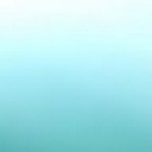 Meet your Posher, Shaohua