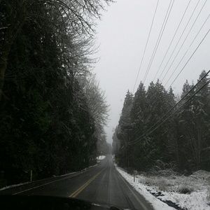 Meet your Posher, Maddy