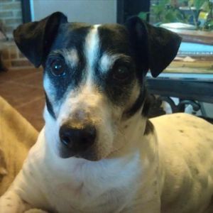 Meet your Posher, Wanda