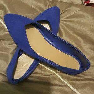 Pointed toe Suede Flats