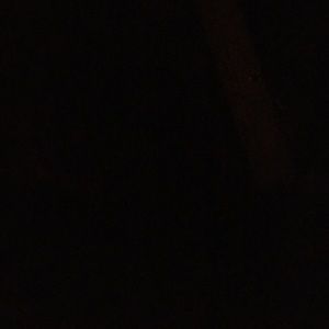 Meet your Posher, Ally