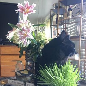 Meet your Posher, Mark