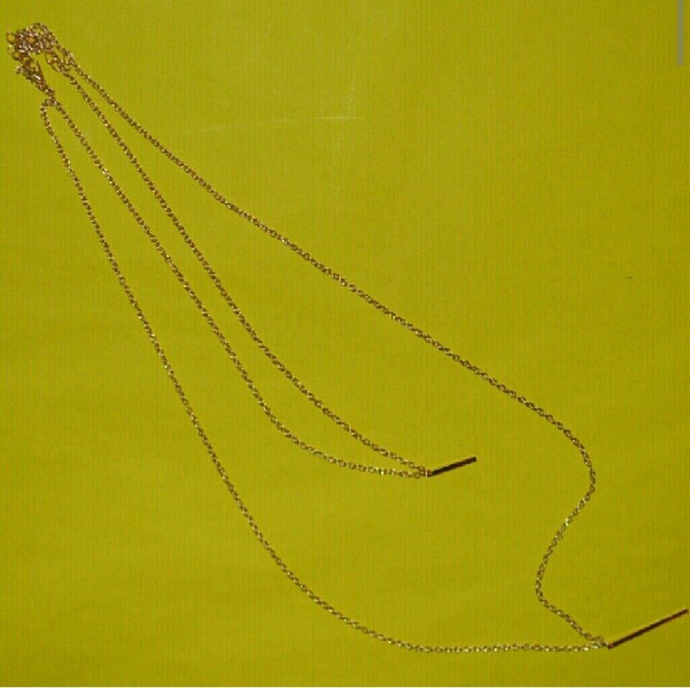 Minimalist Vertical Double Bar Gold Necklace NWT - Picture 2 of 2