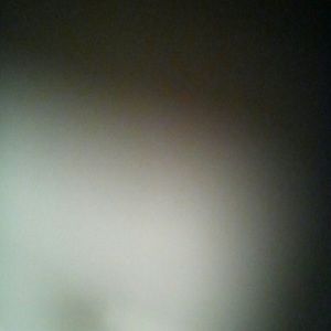 Meet your Posher, Francine