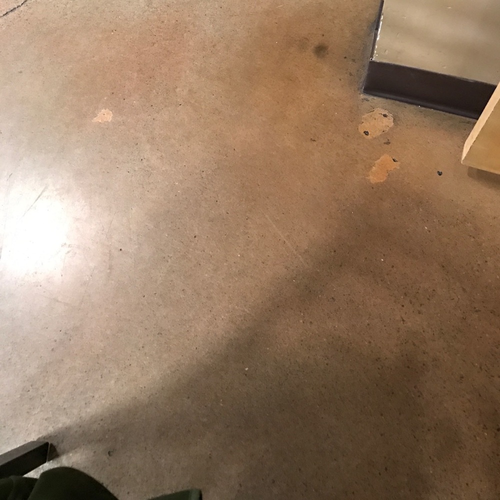 Meet your Posher, Flavia