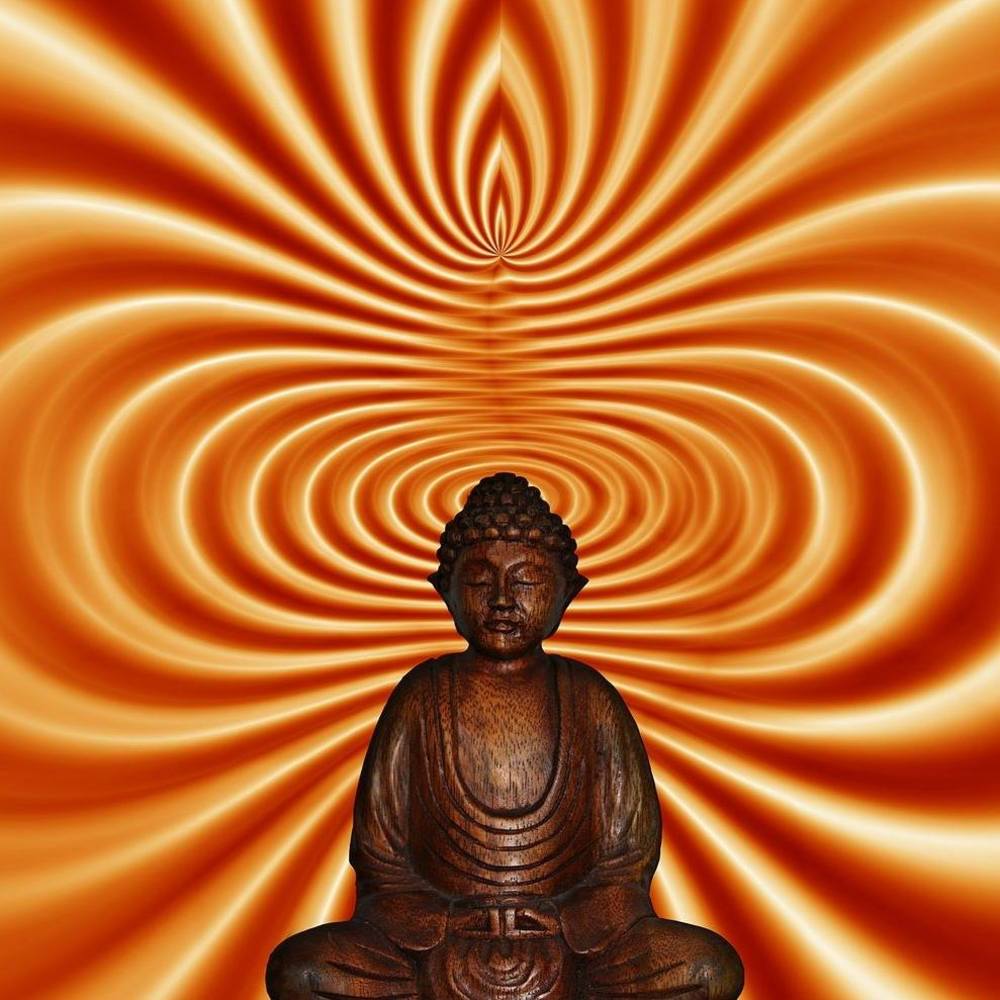 Meet your Posher, Craig