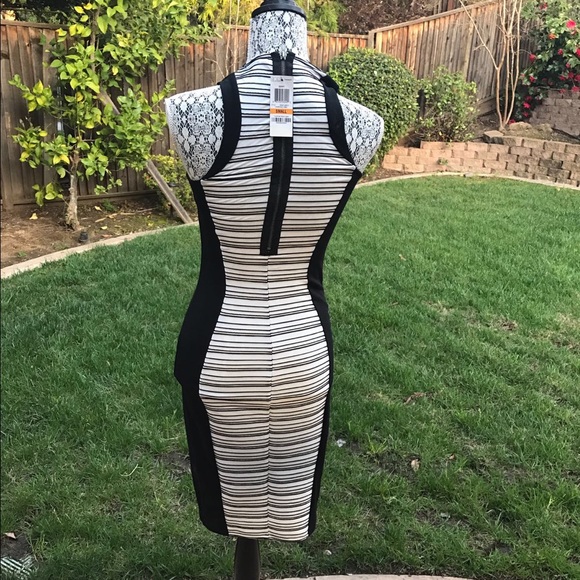 Black and White Striped Illusion Dress - Picture 3 of 3