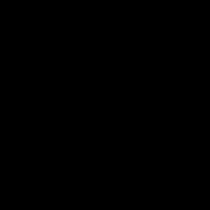 Meet your Posher, Trina