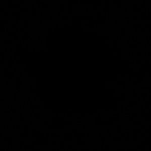 Meet your Posher, Franklin