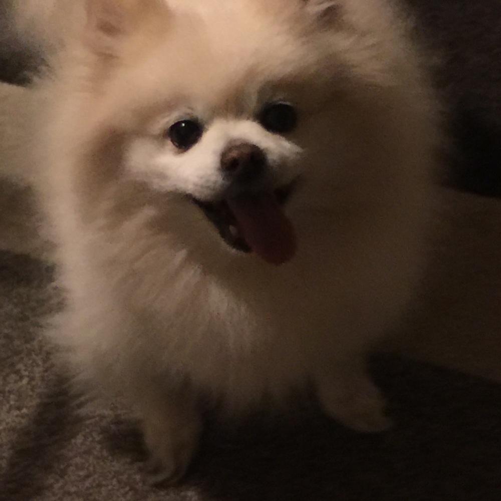 Meet your Posher, Tonya